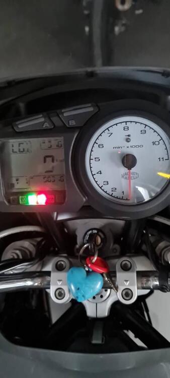 Ducati Multistrada 1000 DS (2003 - 06) (5)