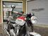 Triumph Bonneville T120 Bud Ekins SE (2020) (14)