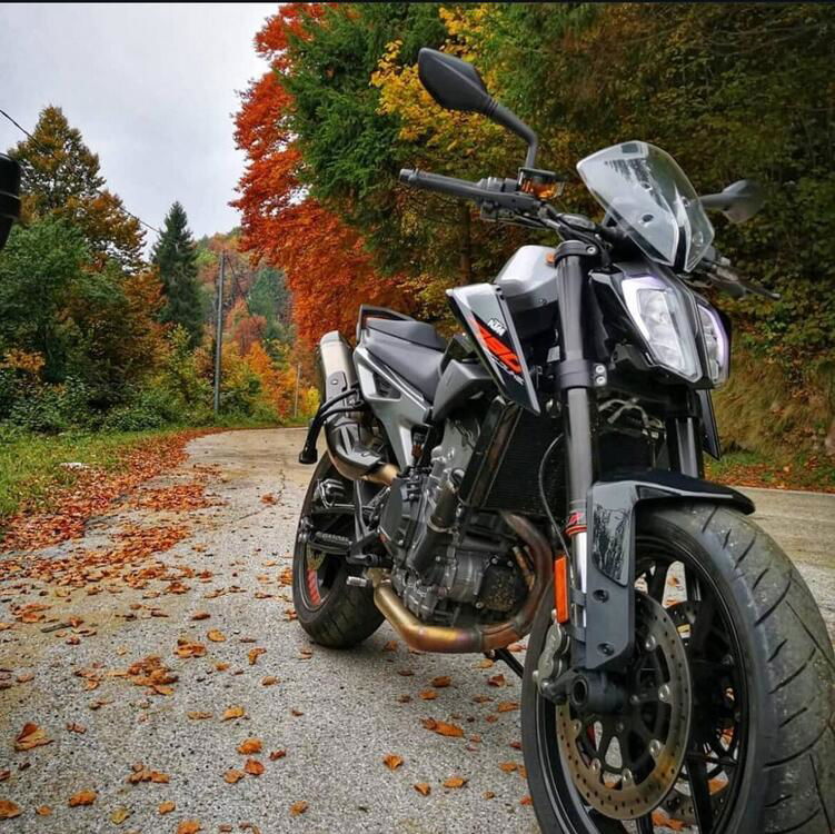 KTM 790 Duke (2018 - 20)