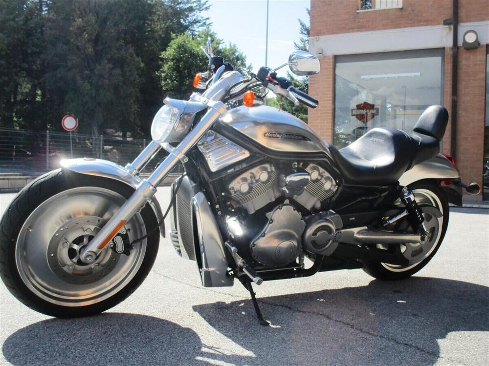 Harley-Davidson 1130 V-ROD (2002 - 05) - VRSCB (3)