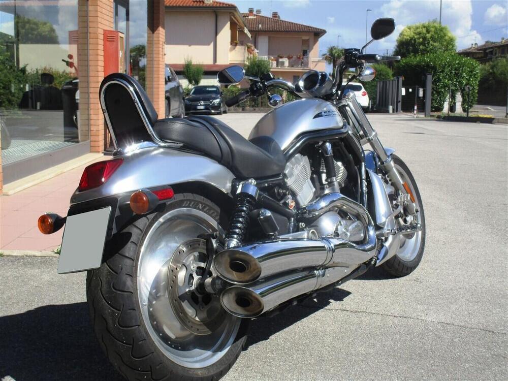 Harley-Davidson 1130 V-ROD (2002 - 05) - VRSCB (5)