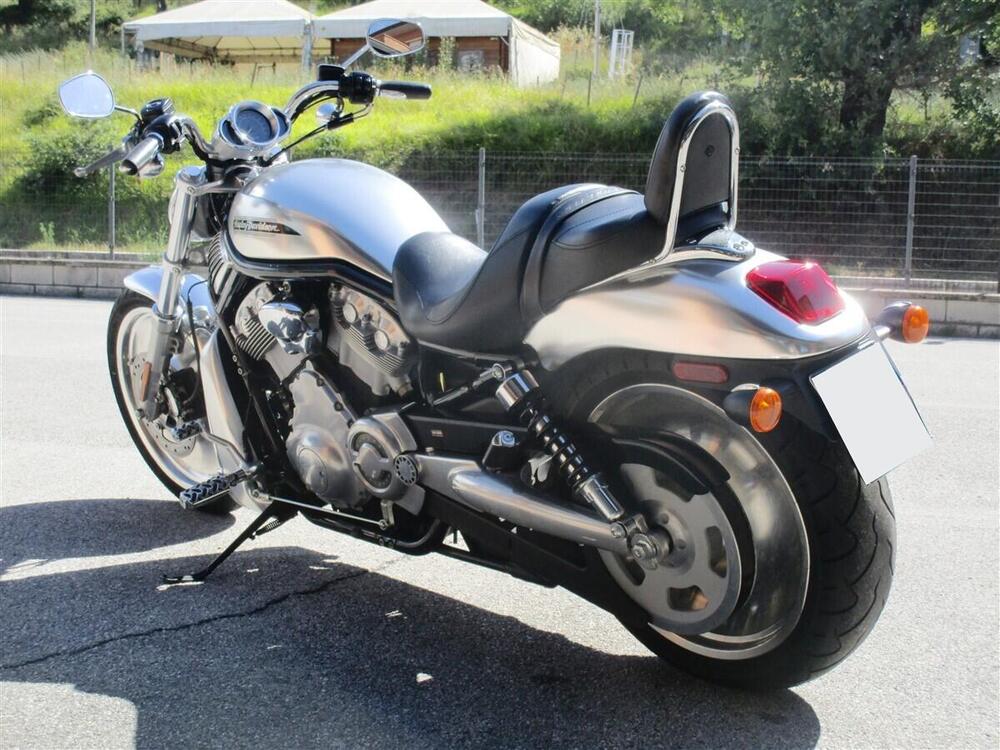 Harley-Davidson 1130 V-ROD (2002 - 05) - VRSCB (4)