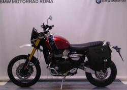 Triumph Scrambler 1200 XE (2021 - 23) usata