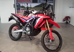 Honda CRF 300 Rally (2021 - 24) nuova