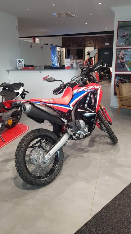 Honda CRF 300 Rally (2021 - 24) (3)