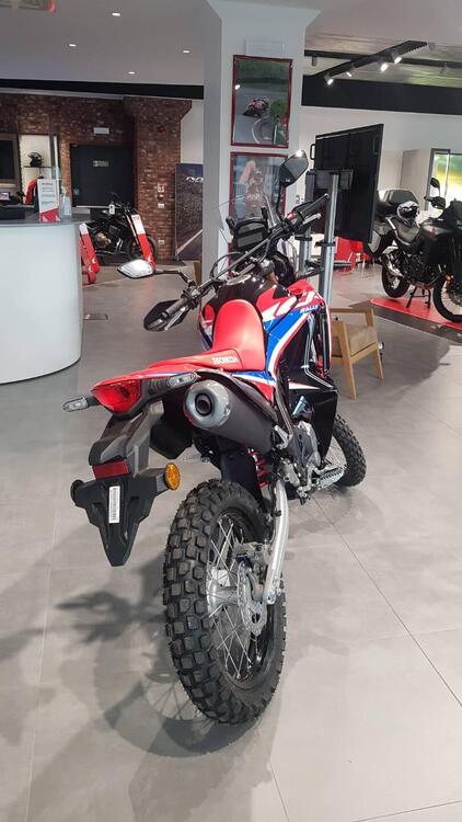 Honda CRF 300 Rally (2021 - 24) (4)