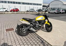 Ducati Scrambler 800 Icon (2017 - 20) usata