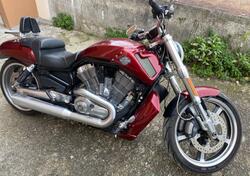 Harley-Davidson 1250 V-Rod Muscle (2009 - 17) - VRSCF usata