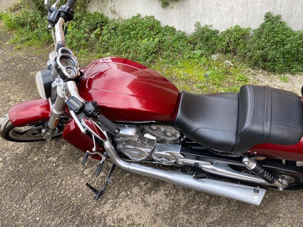 Harley-Davidson 1250 V-Rod Muscle (2009 - 17) - VRSCF (5)