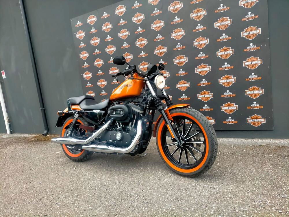 Harley-Davidson 883 Iron (2014 - 16) - XL 883N (3)