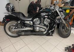 Harley-Davidson 1130 V-ROD (2002 - 05) - VRSCB usata