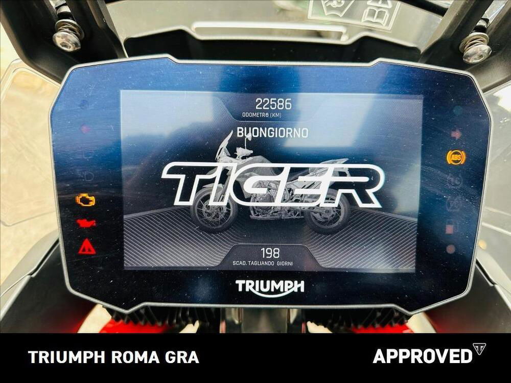 Triumph Tiger 900 GT Pro (2020 - 23) (4)