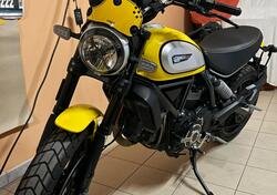 Ducati Scrambler 800 Icon (2023 - 24) usata