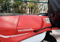 Honda CRF 250 L (2017 - 20) usata