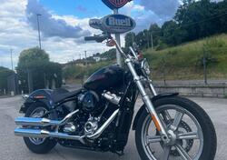 Harley-Davidson Softail Standard (2021 - 24) nuova