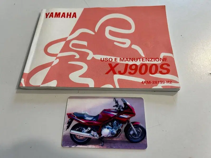 Yamaha XJ 900 S Diversion (1995 - 02) (10)