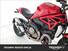 Ducati Monster 1200 (2017 - 21) (17)