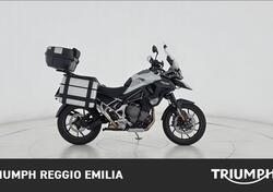 Triumph Tiger 1200 GT Pro (2024) usata