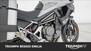 Triumph Tiger 1200 GT Pro (2024) (19)