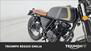 Mutt Motorcycles Akita 250 (2021 - 24) (20)