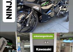 Kawasaki Ninja 500 (2024) nuova