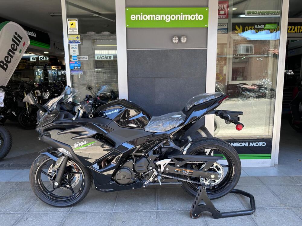 Kawasaki Ninja 500 (2024) (2)