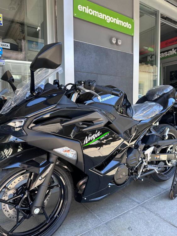 Kawasaki Ninja 500 (2024) (3)