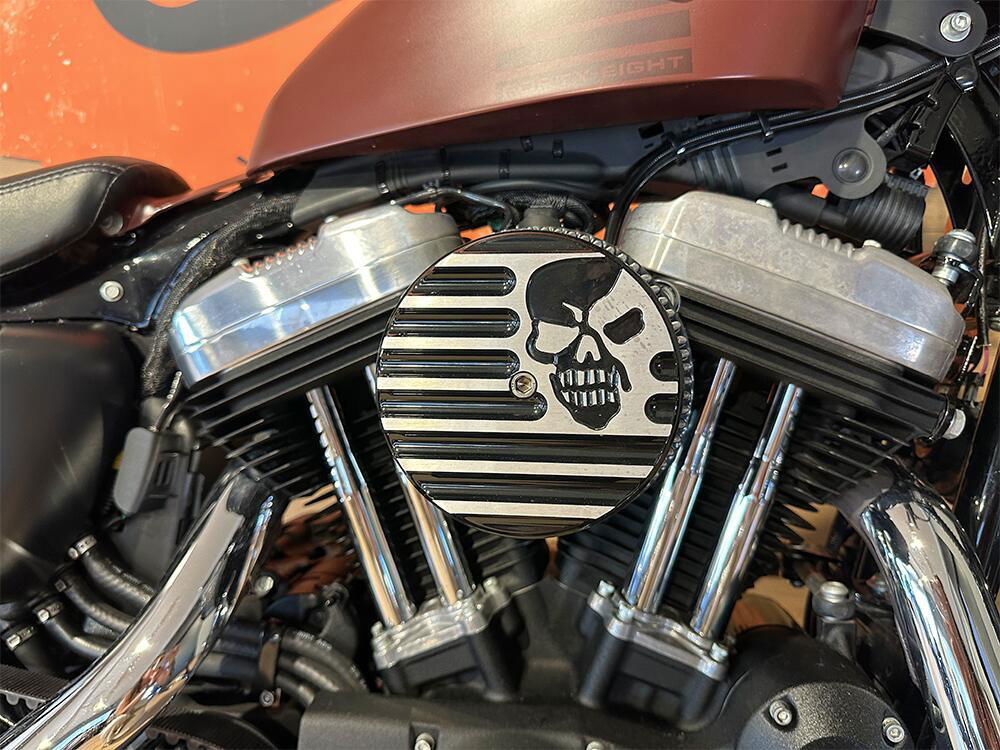 Harley-Davidson 1200 Forty-Eight (2016 - 20) (4)