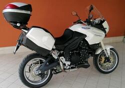 Triumph Tiger 1050 (2006 - 12) usata