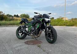 Kawasaki Z 650 (2021 - 24) usata