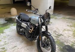 Triumph Street Scrambler 900 (2021 - 22) usata