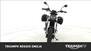 Benelli Leoncino 500 Trail (2021 - 24) (6)