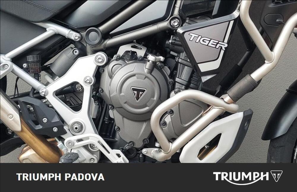 Triumph Tiger 1200 Rally Explorer (2022 - 23) (3)