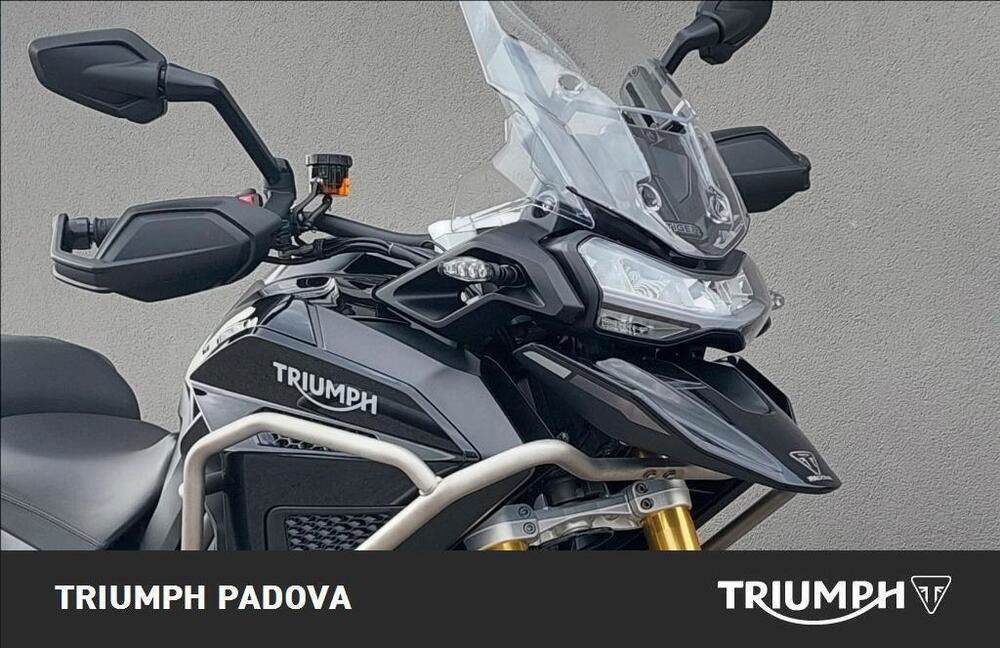 Triumph Tiger 1200 Rally Explorer (2022 - 23) (5)