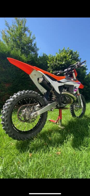 KTM SX 250 (2024)