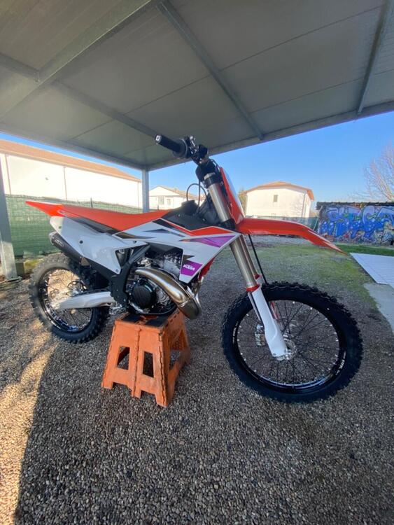 KTM SX 250 (2024) (3)