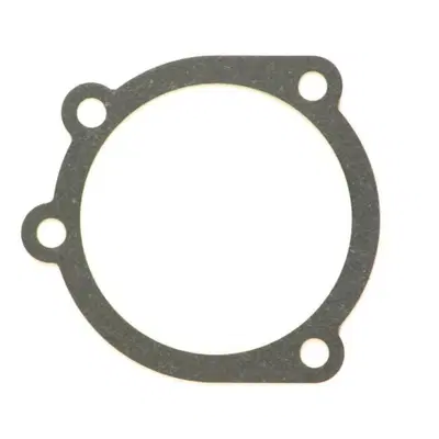 Guarnizione tra carburatore e scatola filtro aria 