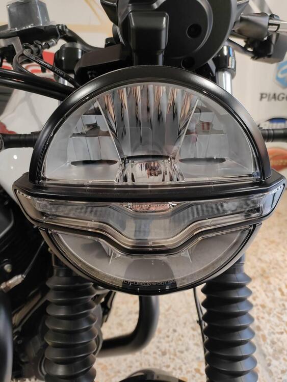 Moto Guzzi V7 Stone Ten (2024) (4)