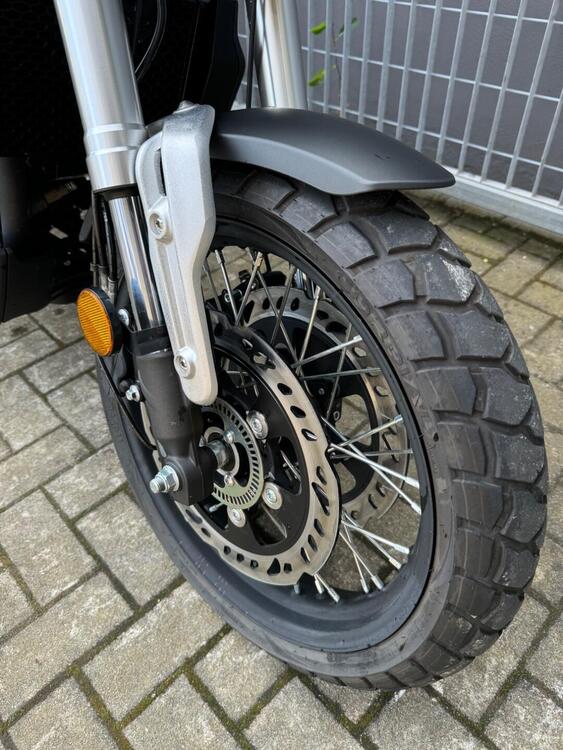 Voge Trofeo 300ACX Scrambler (2021 - 24) (4)