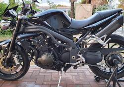 Triumph Speed Triple 1050 (2005 - 11) usata