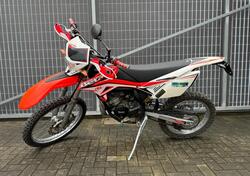 Betamotor RR 50 Enduro (2013) usata