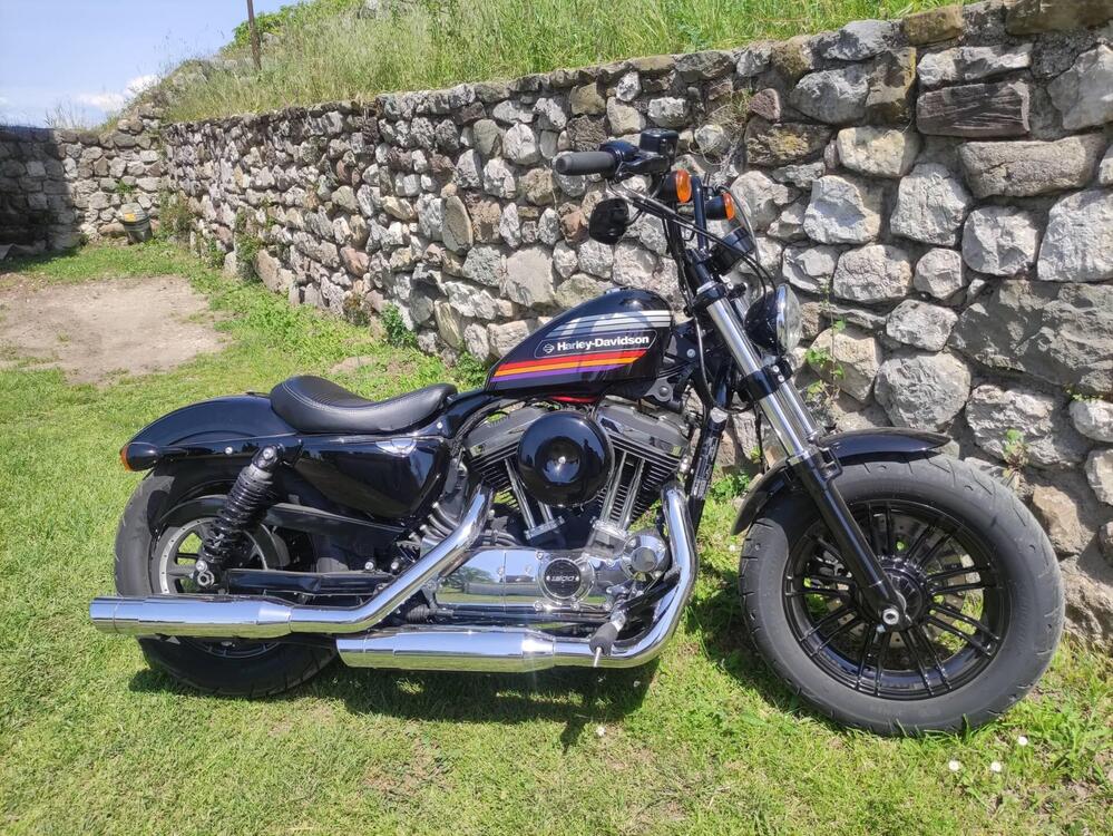 Harley-Davidson 1200 Forty-Eight Special (2018 - 20) (5)