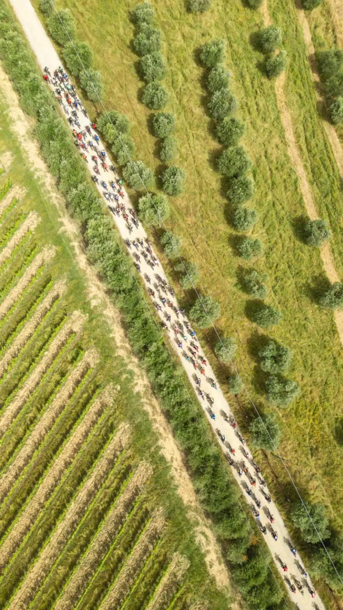 Siamo stati al Thok Tribe 2024! Che spettacolo! [VIDEO] (3)
