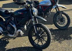 Ducati Scrambler 800 Flat Track Pro (2016 - 17) usata