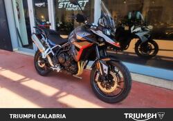 Triumph Tiger 900 GT Pro (2024) usata