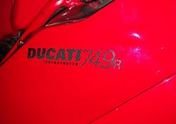 Ducati 749 R (2003 - 07) usata