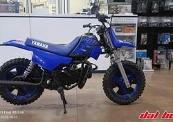 Yamaha PW 50 (2022) usata