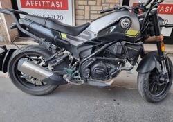 Benelli Leoncino 250 (2021 - 24) usata