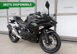 Kawasaki Ninja 500 (2024) nuova