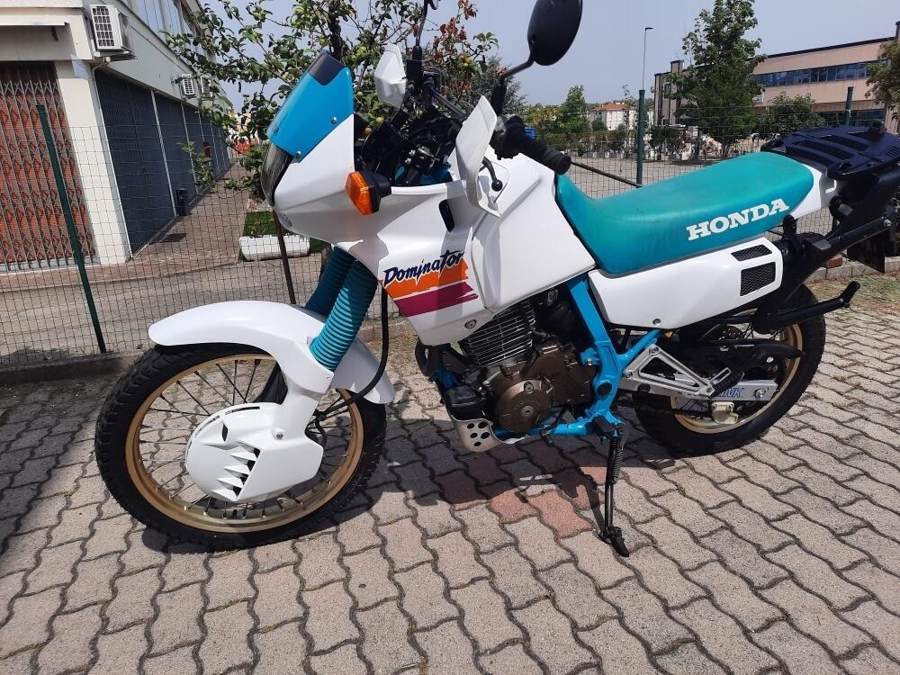 Honda Dominator 650 (2)